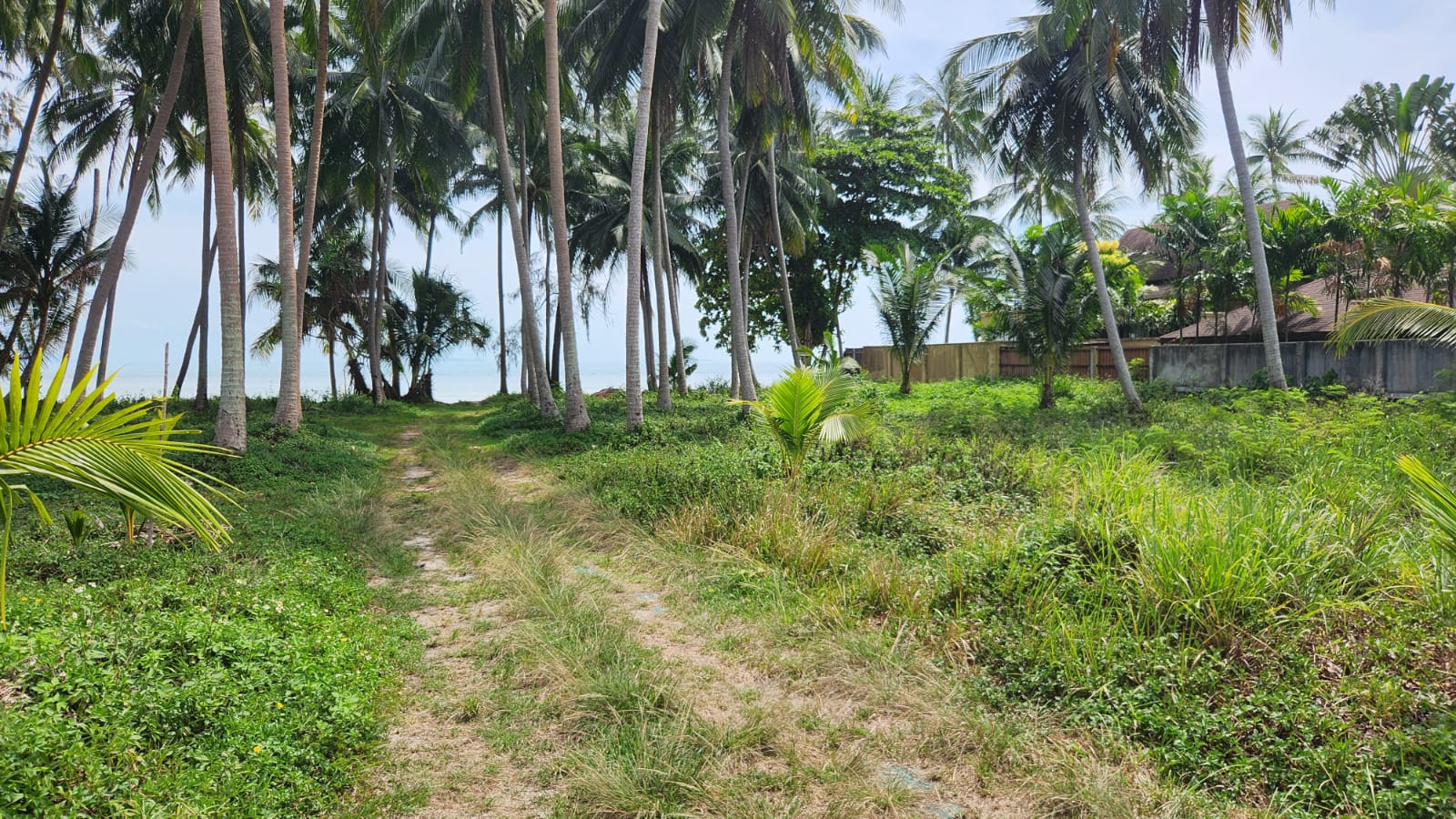 Bangpor Beachfront Land - Siam Commercial Service