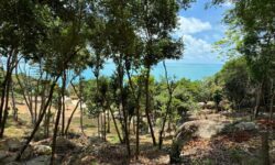 Exclusive Prime Panoramic Sea View Land