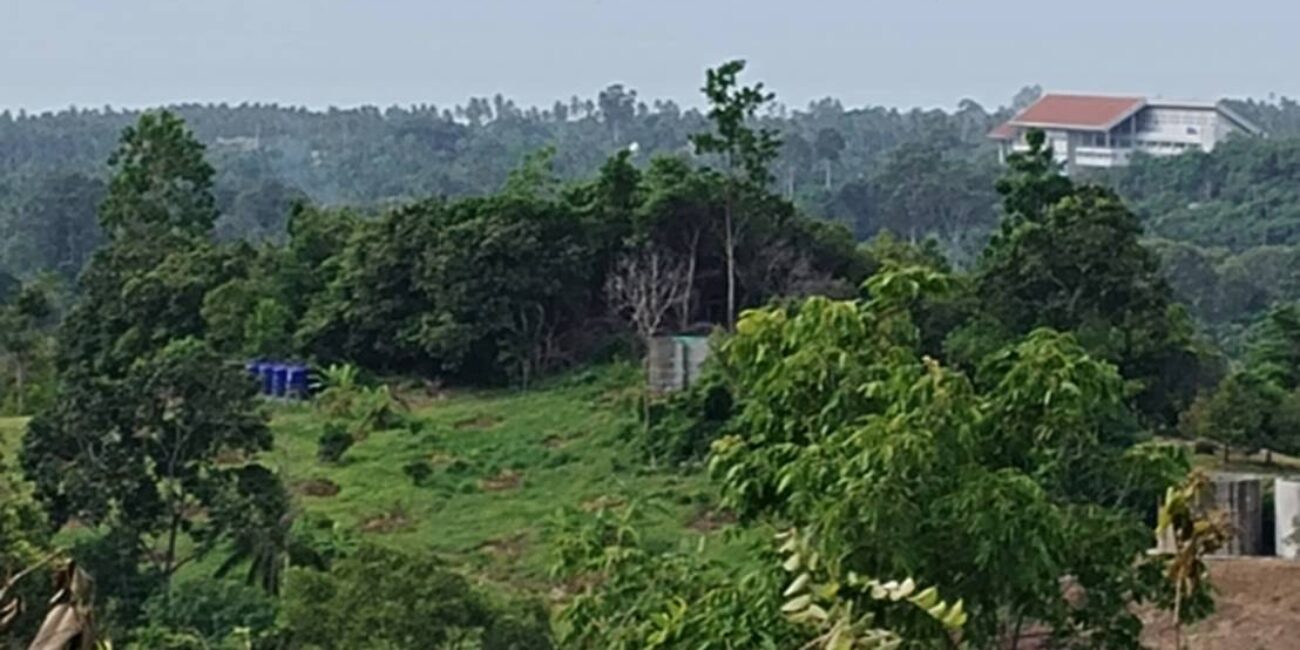 SCENIC LAND IN NA MUEANG