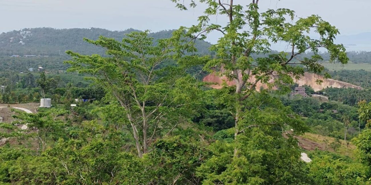 SCENIC LAND IN NA MUEANG